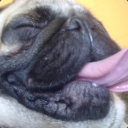 Maybe Adam Lazlow?'s Steam Avatar