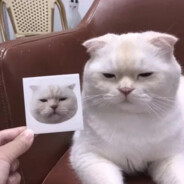 烟酒不离就是现在的我