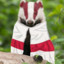 Patriotic Badger