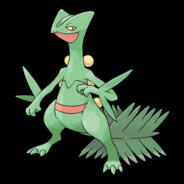 pkmnmastertom