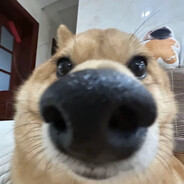 无敌的暴龙战士