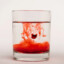 Neti Pot Booger Water