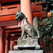 ＫＩＴＳＵＮＥ・狐