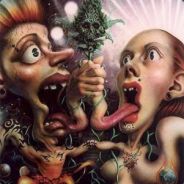 Shuriken38[FR]| Reprend