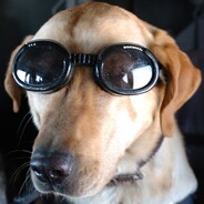 KAYINVALİDE SEVEN G NOKTASI 31?