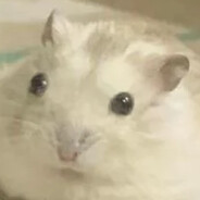 Villdjack's avatar