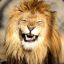 -Laughing Lion-