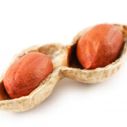A Pair Of Nuts
