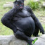 Tonyhuh_h
