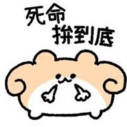 续剑小狗