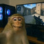 MonkeyCS