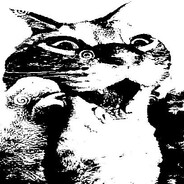 sHkEd avatar