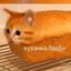 Блеба