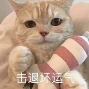 小白快要吃土了