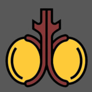 drtestis