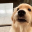 teefs