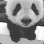 ℗Panda Optimisey℗