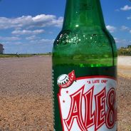 ALE81 - steam id 76561197986225334