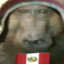 Que dijiste de mi perú