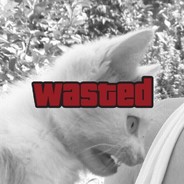 wasted