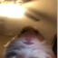 vunenoff