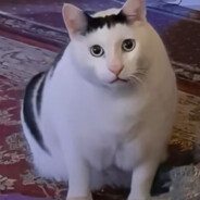 直视我，崽种NMD