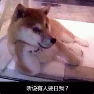 沉迷吃鸡的呆呆