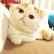 86爆了缸，夏树冒了浆