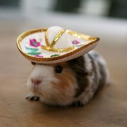 HamsterBandito