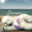 Polarbear