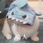 Chu.