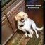 fletch0704