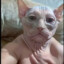 FreakySexBeast