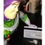 Buzz Hackyear