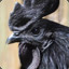 black chicken