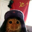 Капитан Воронин