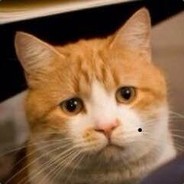 陈一发儿开播了嘛