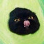avocato