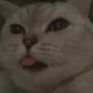 🅖🅡🅘🅝🅓🅔🅡+_+