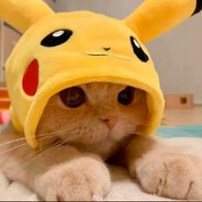 你TN的意大利炮呢