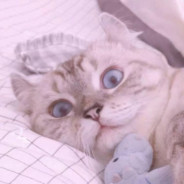 穿梭时间的画面的钟