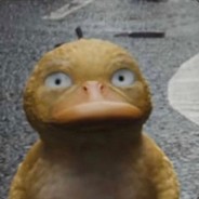 Boooof