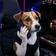 ConChóCaoBằngỘPC