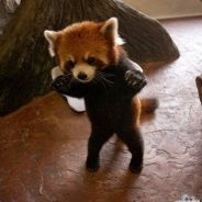 Овощьное рагу