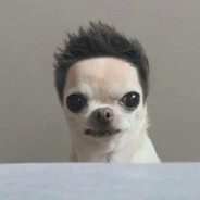 kuLu - steam id 76561198392526569