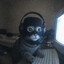 I&#039;m Cat