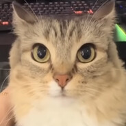 КЫРЫЛЛ УЖАСНИ