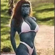 那夜拿牛子老抽你