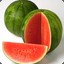 ❤Watermelon❤