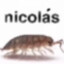 ɴιcσʟαsツ
